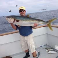 Steve Ducolon Email & Phone Number