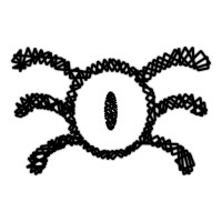 Igalia Employee Rodrigo Siqueira's profile photo