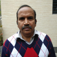 UNIVERSAL BOSCHI Employee Raja Pillai's profile photo