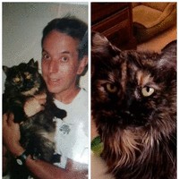 Mahle Employee Robert Redd's profile photo
