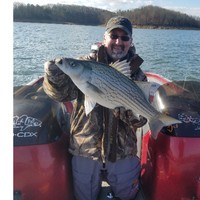 Blue Ridge Knives Employee Andy Patterson's profile photo