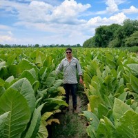 Nutriterra S.A. Employee Diego Martinez's profile photo