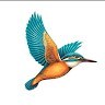 MATRIX PROCESSING HOUSE Employee Bharat Jajoria's profile photo