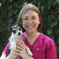 IndyHumane Employee Taryn Condon's profile photo