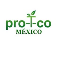 pro|T|co Employee T Mexico's profile photo