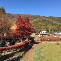 Global Executive Consultants Ltd. Employee Cherry Mok's profile photo