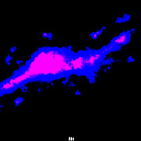 SELF Magazine Employee Steven Brown's profile photo