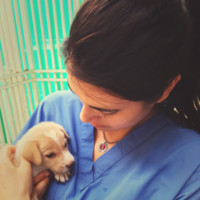 Harlingen Veterinary Clinic Employee Iris Schneider's profile photo
