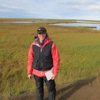 ABR Inc.—Environmental Research & Services Employee Wendy Davis's profile photo