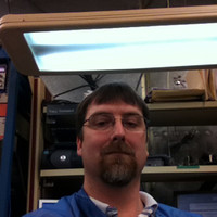 Novartis Employee Tracy Townsend's profile photo