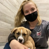 Killeen ISD Employee Casey Gamble's profile photo
