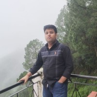 Roro Employee Aman Kaushik's profile photo