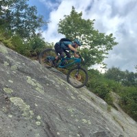 Zach Levin
