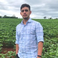 Universidade Federal de Pelotas Employee Matheus Bueno's profile photo