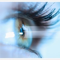 ManagementPlus Employee Management Plus's profile photo