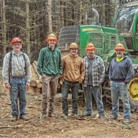 Tree Management Plus Employee Camden BULL's profile photo