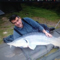 Cape plc Employee Peter Shand's profile photo