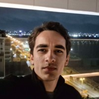 Rings AI Employee Henrique Torres's profile photo