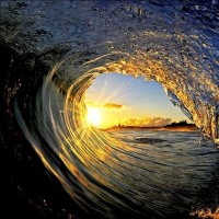 Brad Holmes Email & Phone Number