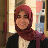 Mallot Creek Group Inc. Employee Janna Ibrahim's profile photo