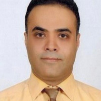 Ali Karami Email & Phone Number