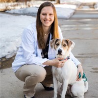 Indian Tree Animal Hospital Employee Anna Lang's profile photo
