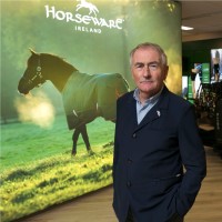 Horseware Ireland Employee Tom mac Guinness's profile photo