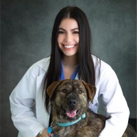 Auburn University College of Veterinary Medicine Employee Morgan McMullen's profile photo
