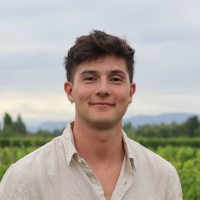 Momentum Employee Bruno Taglioli's profile photo