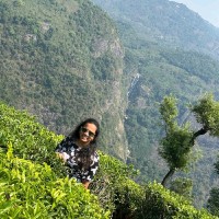 Krishna Kanaparthi's profile photo