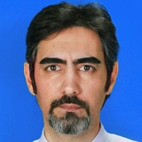 Vision 77 Employee Amir Montazeri's profile photo