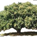 KYNTUS Employee Mbark Mabrouk's profile photo