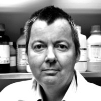 First Option Employee Sean Derrig's profile photo