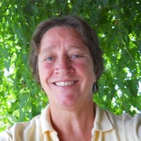 Jodi Harrington