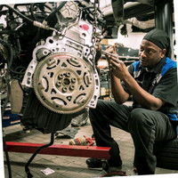 Ferman BMW & MINI of Tampa Bay Employee David Dolphin's profile photo