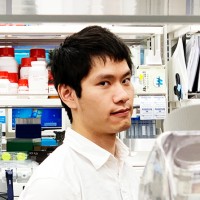 Felix Wong Email & Phone Number