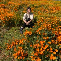 Lauren Moshi llc Employee Viki Stevenson's profile photo