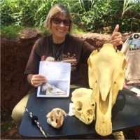 Honolulu Zoo Society Employee Sylvie Wiegardt's profile photo