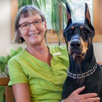 Ridgway Animal Hospital Employee Connie Stapleton's profile photo