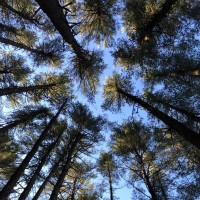 In Good Health Employee Dan Briggs's profile photo