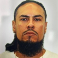 Christian Quintanilla Email