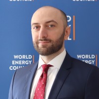 World Energy Council Employee Shota Lemondzhava's profile photo