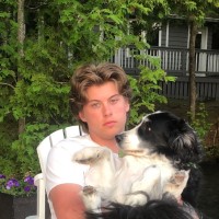 midpage Employee Magnus Reeves's profile photo