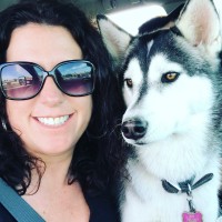 Darcy Wills Email & Phone Number