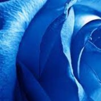 SolutionHawks Employee Fahad Kazmi's profile photo