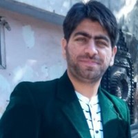 Microtek International Pvt  Ltd. Employee Hitesh Nagpal's profile photo
