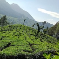 K Sunitha Email