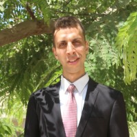 Walied Fouad Email