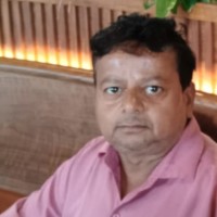 Synergy Systems & Solutions, Inc. Employee Anand Srivastav's profile photo