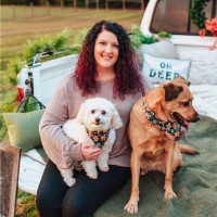 Jamie Lanham Email & Phone Number